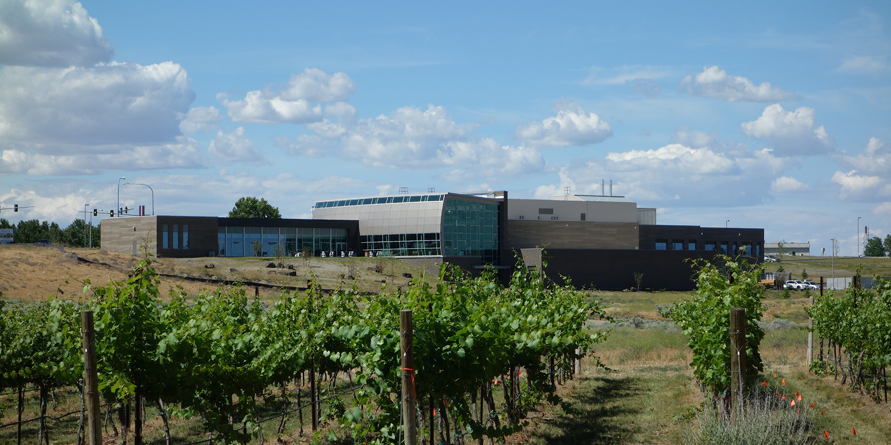 WSU Ste Michelle Wine Estates Wine Science Center